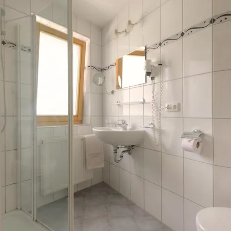 Ebster * Pettneu am Arlberg