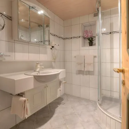 Ebster Pettneu am Arlberg