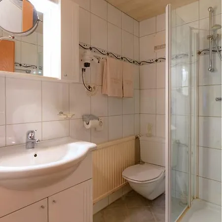 Ebster Pettneu am Arlberg